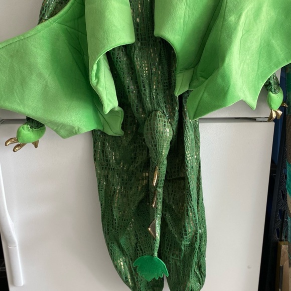 Pottery Barn Kids Green Dragon Costume - Picture 3 of 6